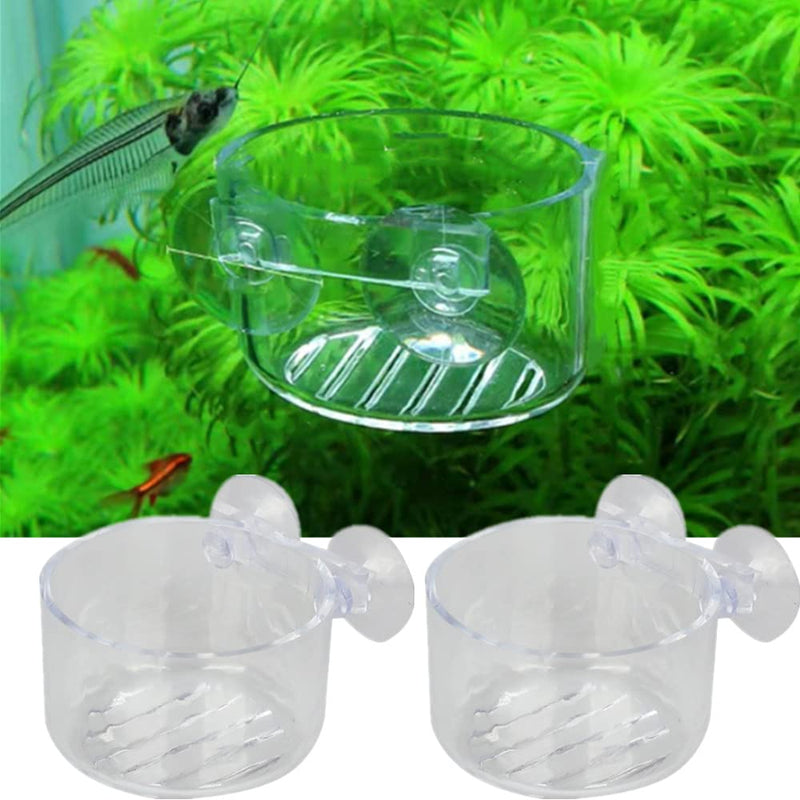 ZhanshuidefaQ 2 Pcs Red Worm Feeder Acrylic Fish Tank Plant Shrimp Feeder Bowl Floating Bloodworm Water Food Dish Fish Feeding Cup with Suction Transparent Fish Feeding Cup Tank for Aquarium Reptiles - PawsPlanet Australia