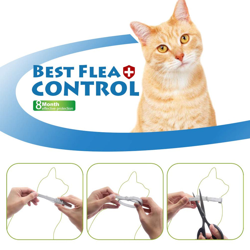 SCIROKKO Cat Flea and Tick Collar 8 Months Protection - Adjustable Pet Flea Treatment Collar Waterproof for Cats Puppies - 33cm - PawsPlanet Australia