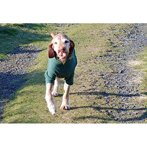 Hotterdog Jumper Small RED - PawsPlanet Australia
