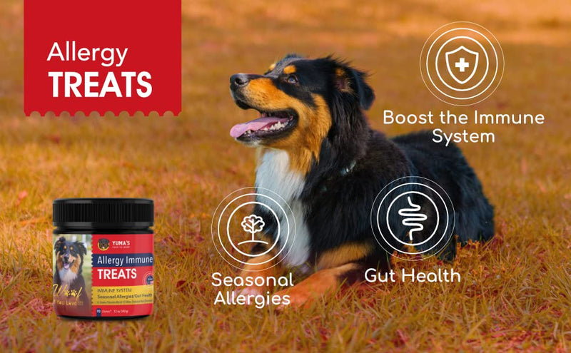 YUMA'S Dog Allergy Relief Treats to Help Relieve Skin - Dog Allergy Chews with Salmon Oil to Reduce Inflammation - Immune & Seasonal Allergy Support for Dogs - Itch Relief for Dogs 90 Chews Bison - PawsPlanet Australia