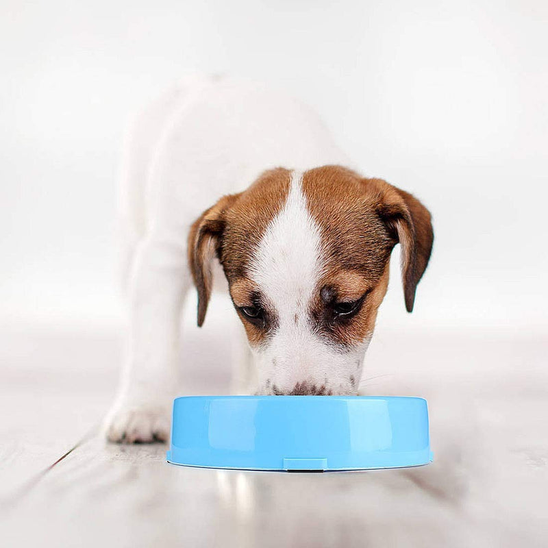 JIAYEE Slow Eating Dog Bowl,Slow Feed Dog Bowl,Healthy Slow Feeder Dog Bowls Large,Pet Healthy Eating Diet Bloat Stop Bowl,Dog Bowl Slow Feeder for Medium Small Dogs (Blue) Blue - PawsPlanet Australia