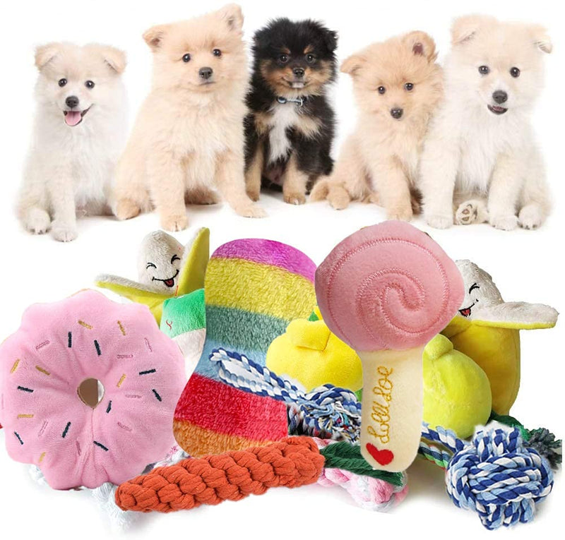 Felly Dog Rope Toys for Small Dogs, 10pcs Puppy Dog Chew Toys Teething Training Include 5 Durable Dog Rope Toys and 5 Dog Squeaky Toys, Puppy Chewing Teething Toys, Dog Toy Pack Gift Set - PawsPlanet Australia