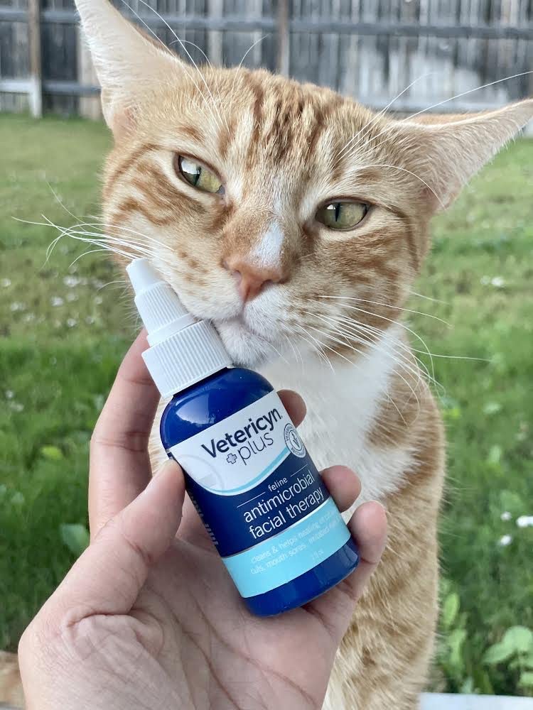 Vetericyn Plus Feline Facial Therapy. to Care for Cat Acne, Cuts, Mouth Sores, and Irritated Eyes and Ears on Cats of All Ages. Non-Toxic and Safe if Ingested. (2 oz) - PawsPlanet Australia