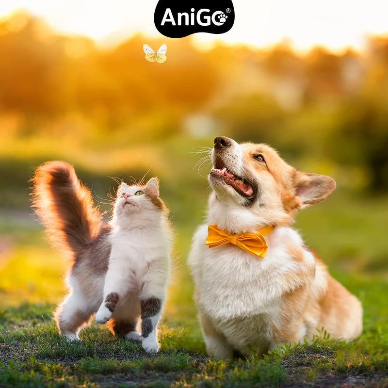 AniGo Ear Drops Plus - with colloidal silver I 25ppm I For dogs and cats I For ear infections, itching and irritation, ear care, ear hygiene, healthy ears - PawsPlanet Australia