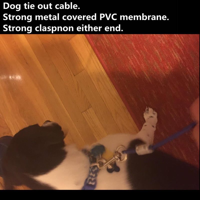 [Australia] - Petforu Dog Leashes, Tie-Out Cable Steel Wire Rope with Dual Heads Metal Hooks 3M /10Feet Blue 