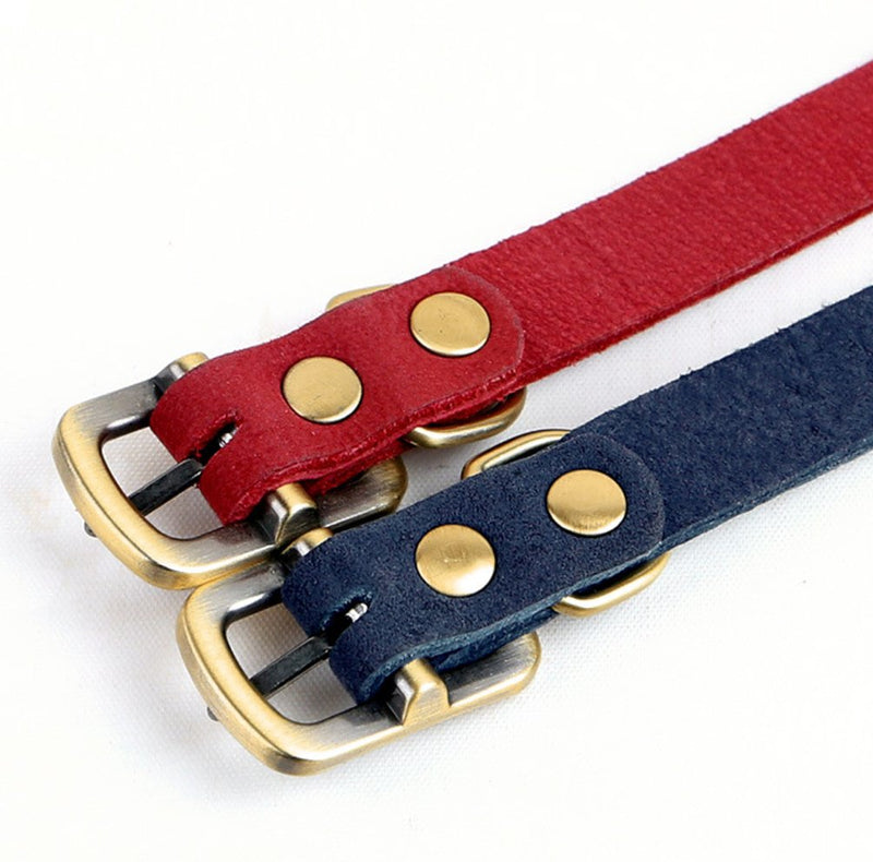 [Australia] - PENTAQ Adjustable Pet Dog Collar For Small Dog, Neck Size 24-30cm and 1.5cm Wide, Belt Design Polished Durable Leather Dog Cat Collar Red 