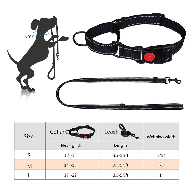 Martingale Dog Collar and Leash Set Martingale Collars for Dogs Reflective Martingale Collar for Small Medium Large Dogs S Black - PawsPlanet Australia