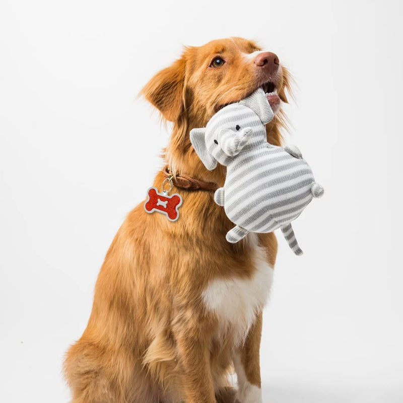 Pack of 6 Dog Bone Pet Dog Tag | bones | Pendant ID tag dog address tag address tag | many colours - PawsPlanet Australia