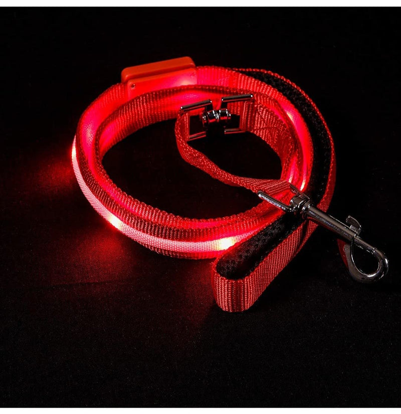 (Shared Products ) LED Dog Leash, Light Up Dog Leash, Micro USB Rechargeable, Waterproof, Nylon Webbing, Glow Safety Standard Dog Leashes (Ruby Red with 2 Reflective Wires) - PawsPlanet Australia