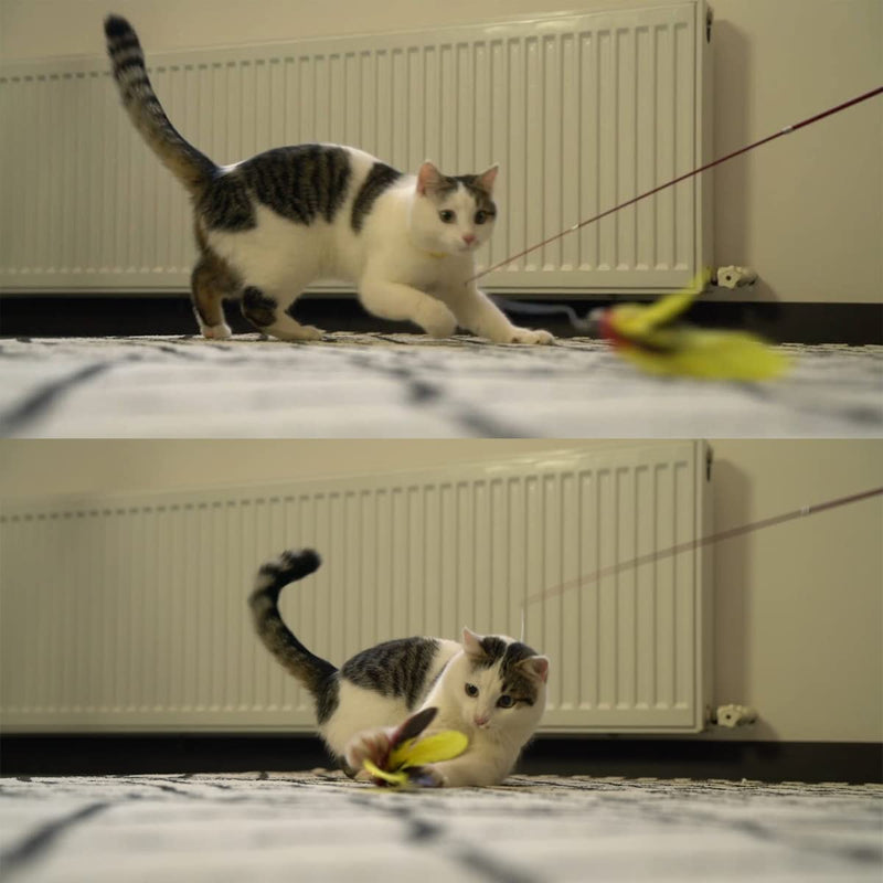 MeoHui Cat Wand Toys Refills, Cat Feather Toys Accessories, 10PCS Squiggly Worms Replacements and 1PC Replacement String for Cat Fishing Pole, Assorted Teaser Refills with Bell for Indoor Cats Kitten Feather Refills - PawsPlanet Australia