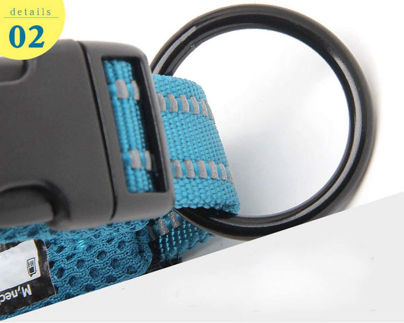 TRUE LOVE Truelove Dog Training Collar TLC5011 Reflective Premium Duraflex Buckle Nylon Webbing Pet Dog Collars,High Grade Nylon Webbing No Choke Basic Collars Now Available (S, Blue) S - PawsPlanet Australia