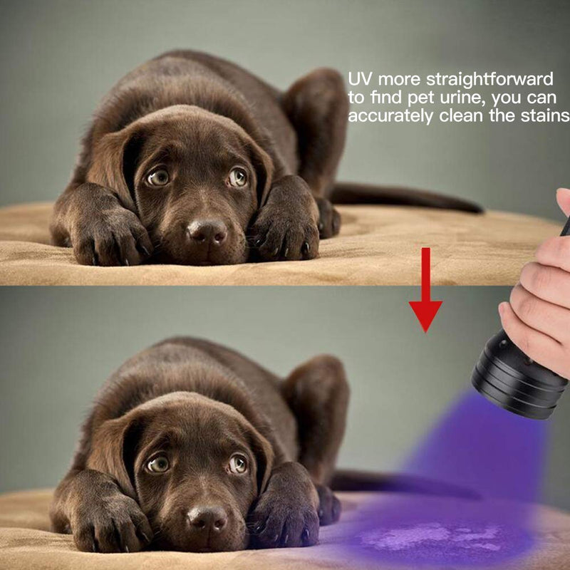 [Australia] - ESCO LITE 2 Pack UV Flashlight Black Light, 51 LED 395nm Ultraviolet Blacklight Detector for Dry Pet Urine and Bed Bug, Matching with Pet Odor Eliminator 