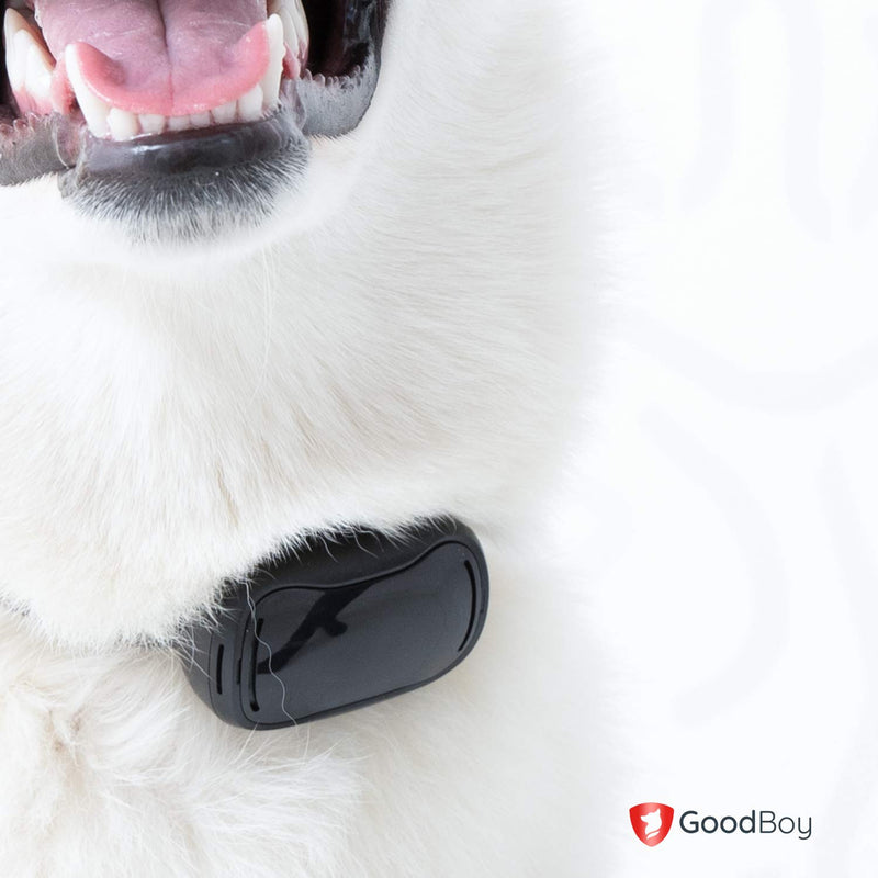 [Australia] - GoodBoy Remote Dog Training Collar GB812 Extra Replacement Receiver 
