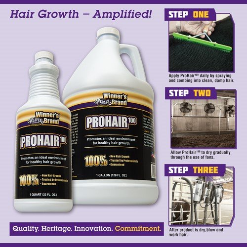 [Australia] - Weaver Leather Livestock Winner's Brand Pro Hair100 Shampoo 1 Quart 