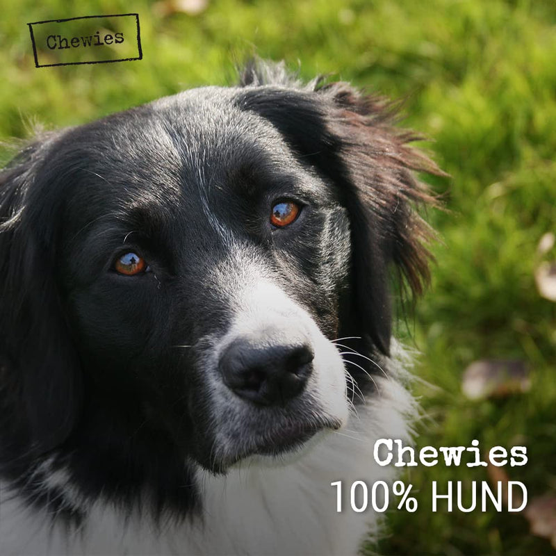 Chewies coffee wood chewing stick for dogs - chewing bone dog toy - 100% natural dog accessories low-risk & durable - size M: for dogs up to 20 kg body weight, pack of 1 M (pack of 1) - PawsPlanet Australia