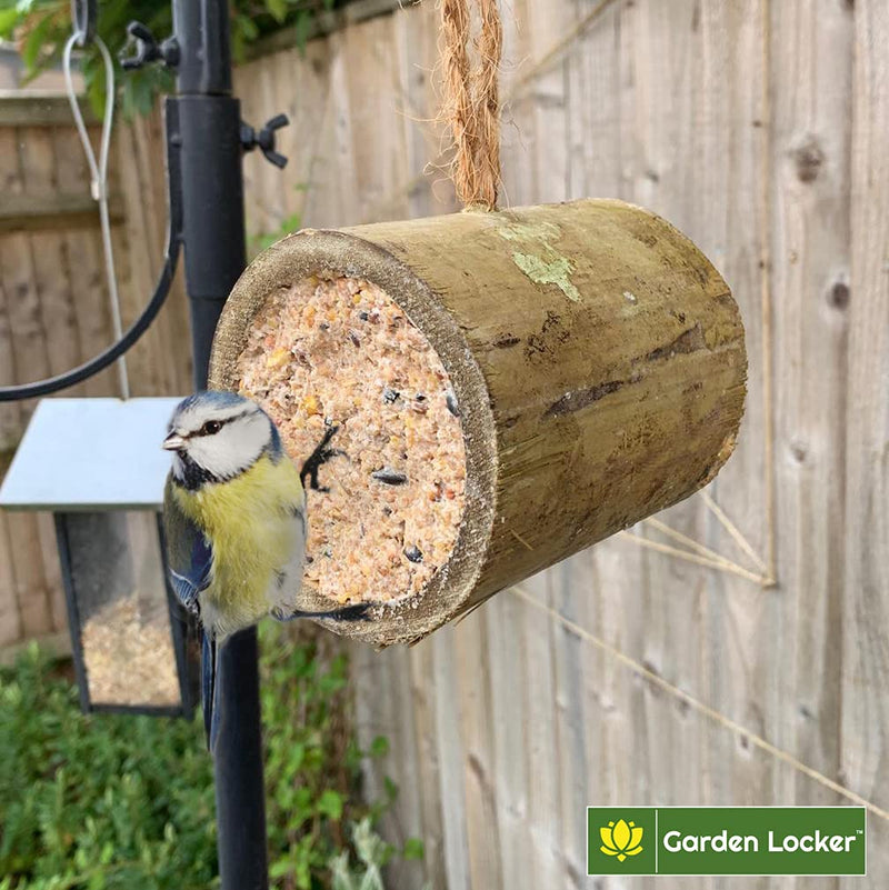 Bamboo Suet Bird Feeder - Scrumptious Seeds Flavour - Wild Bird Food for Hanging Outdoors - Garden Feeder Attracting Tits, Finches, Robins & many more Wild Birds Bamboo Suet Feeder - PawsPlanet Australia