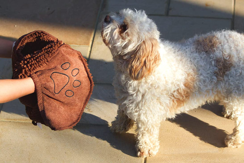 Dog Gone Smart The Original Dirty Dog Shammy Brown - PawsPlanet Australia