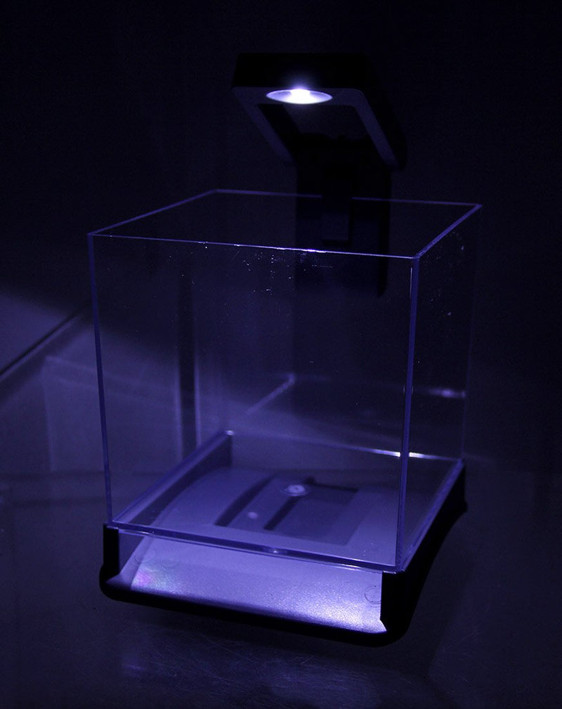 [Australia] - Aqua Culture Betta Cube with LED Light-Aqua-Tech-ML90579 by AquaTech 