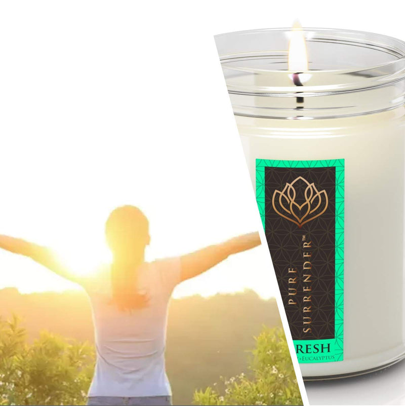 Refreshing Peppermint Eucalyptus Aromatherapy Scented Candles for Home | 100% Pure Essential Oils | Non Toxic Long Lasting Vegan Soy Candles | 9 oz Jar | Hand Made in The USA Refresh - PawsPlanet Australia