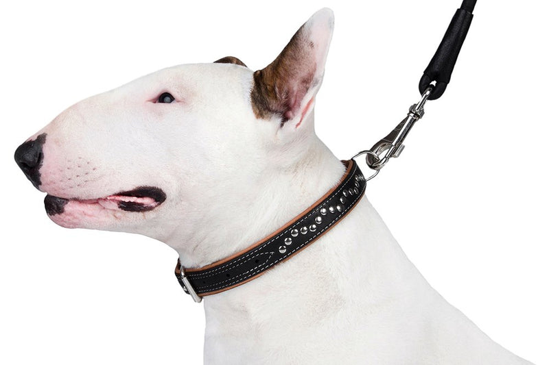 [Australia] - CollarDirect Studded Dog Collar Leather Pet Collars for Dogs Small Medium Large Puppy Soft Padded Brown Black Neck fit 13" - 14" 