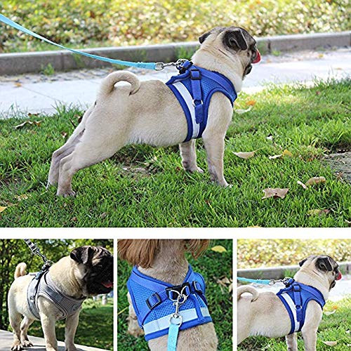 [Australia] - Feiky Dog Harness No-Pull Pet Harness Adjustable Reflective Outdoor Pet Vest and Dog Leash Easy Control for Small Medium Dog or Cat S Black 