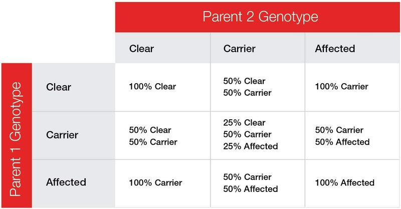 AffinityDNA Dog Uric Acid DNA Test for Hyperuricosuria - Home Sample Collection Kit for 1 Canine - Dog Uric Acid Testing - PawsPlanet Australia