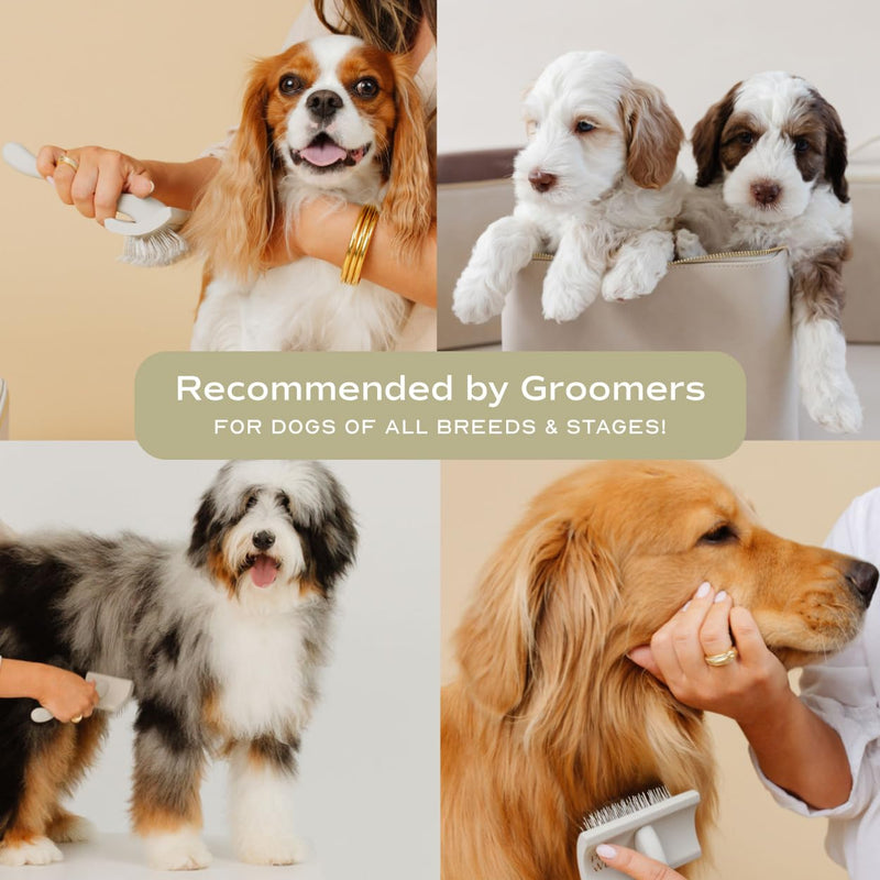 Slicker Brush for Professional and Luxury Dog Grooming to Prevent Matting with Dense and Extra Long Stainless Steel Pins (Goldendoodles, Labradoodles, Poodles) - PawsPlanet Australia