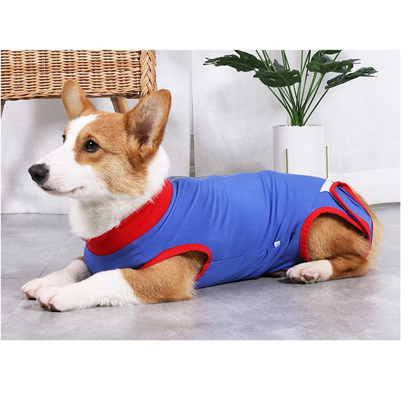 VICTORIE Cat Professional Recovery Suit Surgery Recovery Wear Operation Home Clothing Abdominal Wounds Skin Diseases with zipper for Puppy Cats Dogs (M, Blue with zipper) M - PawsPlanet Australia