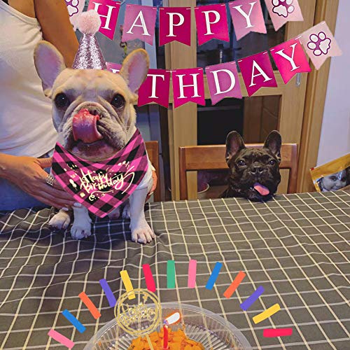 ADOGGYGO Dog Birthday Bandana Girl Boy - Birthday Party Supplies - Puppy Birthday Hat Scarf Happy Birthday Banner Dog Boy Girl First Birthday Outfit for Pet Puppy Cat Pink - PawsPlanet Australia