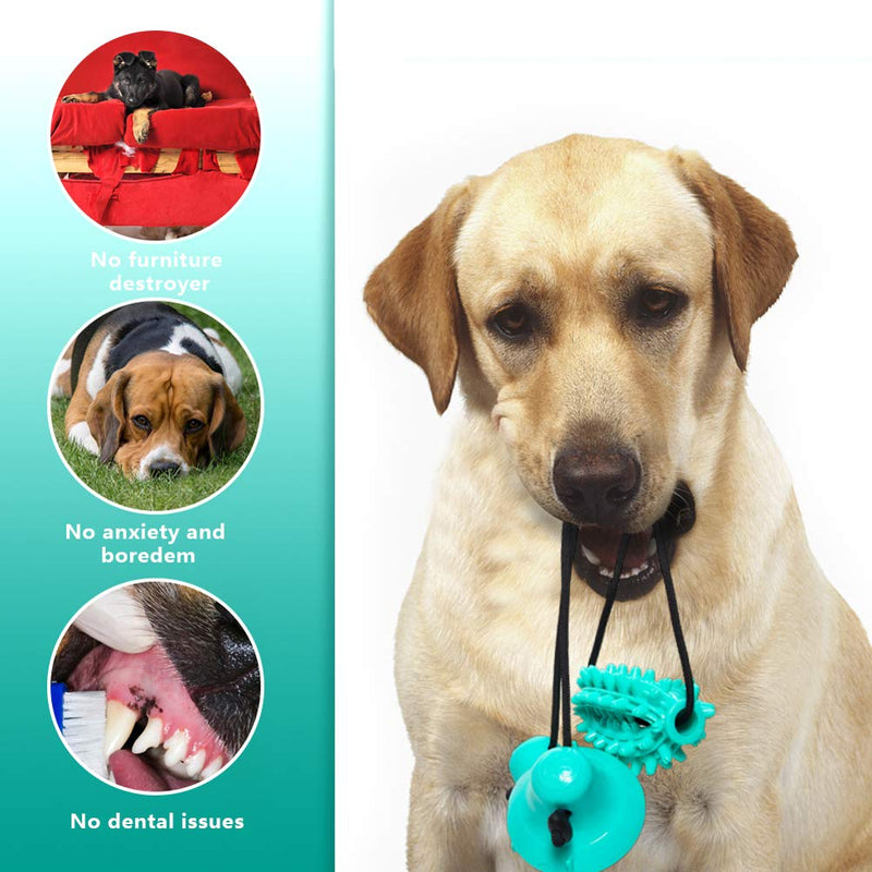 [Australia] - Sofier Multifunctional Suction Cup Dog Toy Detachable Dog Puzzle Toys for Large Dogs Interactive Dog Toy with Extra Dog Rope Toys for Dog Teeth Cleaning Tug Toy for Dogs (Cactus Molar Ball) 