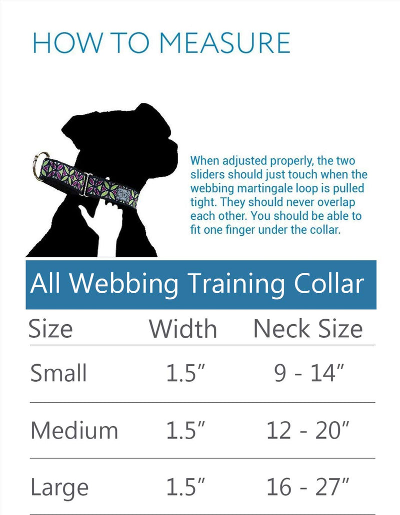 [Australia] - RC Pets 1-1/2 Inch All Webbing Martingale Training Dog Collar, Medium, Watermelon 