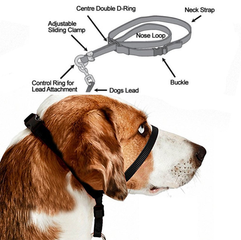 [Australia] - Barkless Dog Head Collar, Adjustable and Padded, No-Pull Training Tool for Dogs on Walks, Includes 1 Dog Leash and Free Training Guide, 3 Medium 