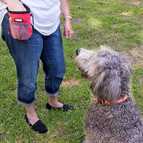 [Australia] - barkOutfitters Dog Treat Pouch - Bag Can Carry Snacks and Toys - Professional Quality Pouch Available in Red, Orange and Blue 