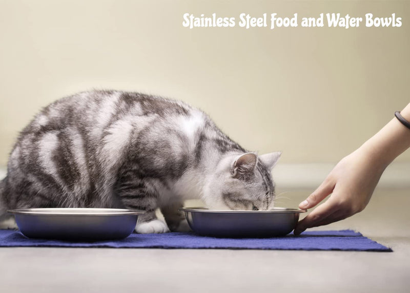 BiteKing Stainless Steel Cat Bowls, Whisker Fatigue Relief Cat Food Dish, Metal Shallow Wide Large Replacement Plate for Dog and Pet, Ideal for Raised Elevated Pet Feeding Station Stand 2 Pack 1¼ Cup/10 oz ea. - PawsPlanet Australia