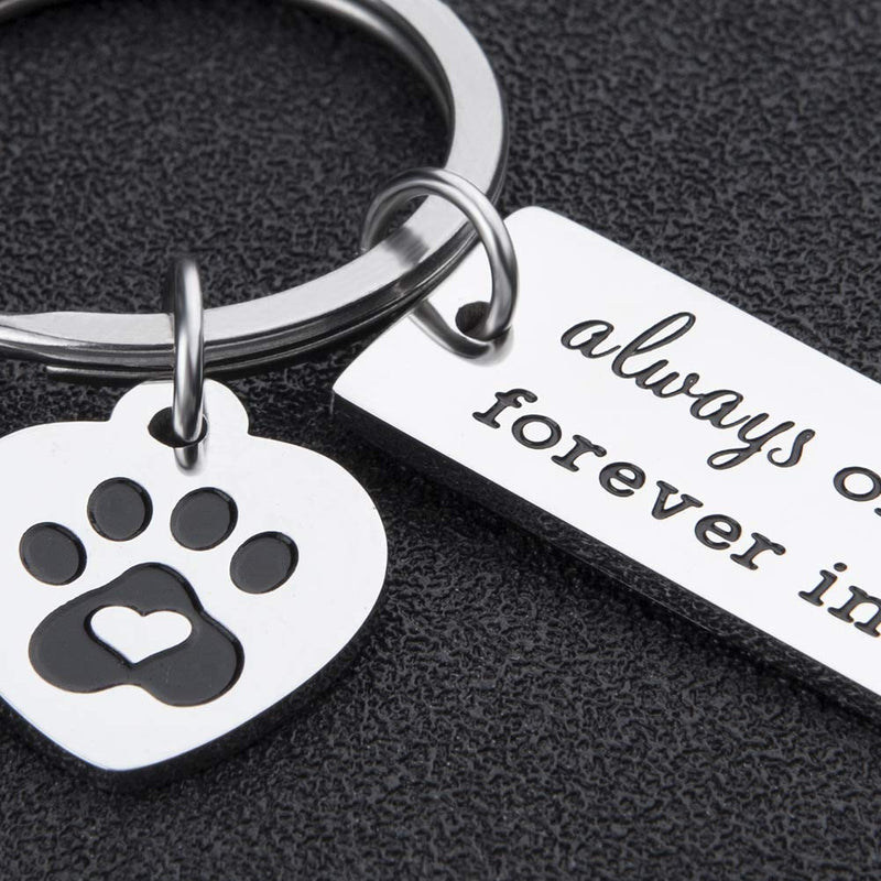 [Australia] - Pet Dog Memorial Keychain for Pet Dog Cat Lover Sympathy Gift Loss of Dog Personalized Remembrance Key Chain with Dog Cat Paw Prints Gifts Forever in My Heart for Pet Owner Men Women 