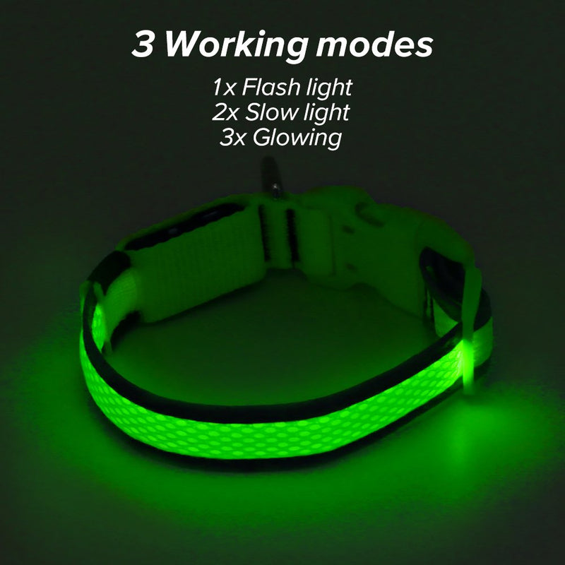 [Australia] - Ezier USB Rechargeable Glow in The Dark Dog Collar - Walking Lights Dog Collar Mesh Adjustable Light Up Dog Collars for Small Medium Large Dogs Large [17''-25.5''/ 43-65cm] Green 