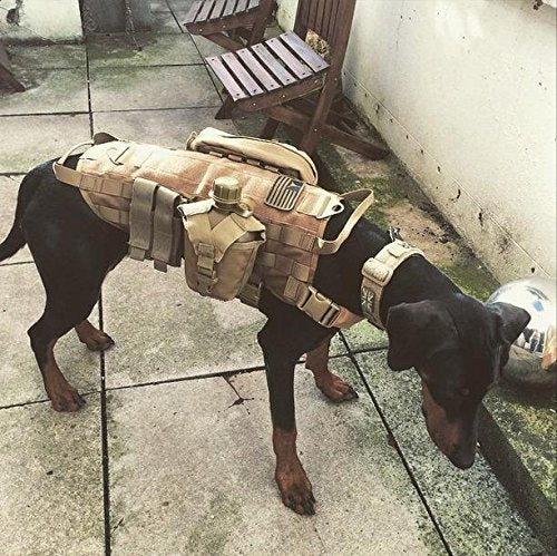 [Australia] - FDC Tactical Dog Vest Harness K9 MOLLE Hunting Military Hook and Loop Patch Panel XS, S, M, L, XL COYOTE DESERT TAN L: Chest up to 32" 