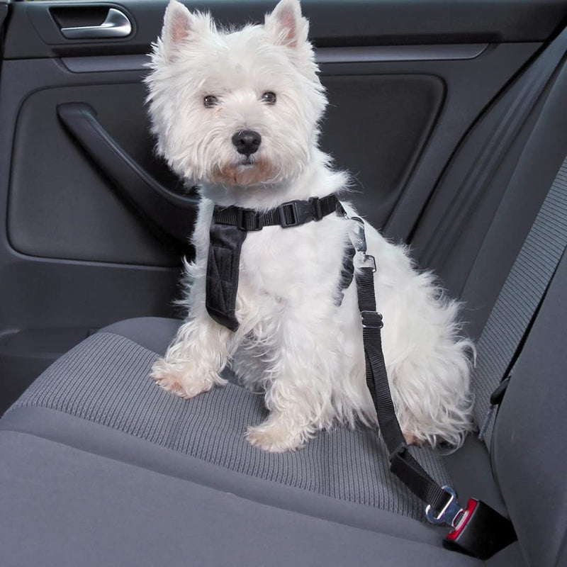 Pack of 2 dog harnesses, car seat belt for dogs, tear-resistant, adjustable, dog seat belt, adjustable dog seat belt, safety harness for all dog breeds, cats and car types, black/yellow - PawsPlanet Australia