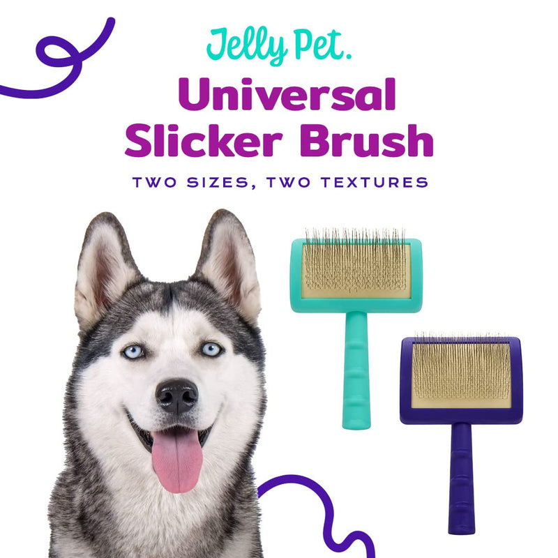 Jelly Pet Universal Slicker Brush for Dogs, Remove Tangles and Dead Undercoat, Doodle Huskie Sheep Dog Golden Retriever German Shepherd, Firm Pins, Teal, Large Head (3 in x 4 in) - Pins (Firm) - PawsPlanet Australia