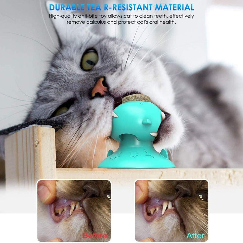 N\A 1 Piece Cat Mint Toy Cat Treats Chew Toy Pet Licking Suction Molar Toy for Cat Entertainment - PawsPlanet Australia