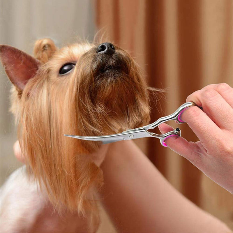 Dog Scissors, 6 Inch Professional Dog Grooming Thinning Scissors & Curved & Straight Hair Scissors, Stainless Steel Curved Grooming Scissors for Dog Cat Hair Care Upgraded - PawsPlanet Australia