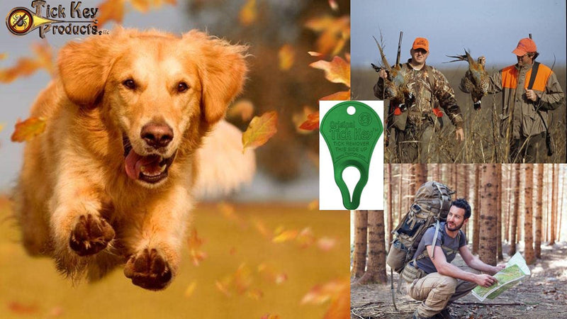 The Original Tick Key - Tick Detaching Device - Portable, Safe and Highly Effective Tick Detaching Tool (Green) - PawsPlanet Australia