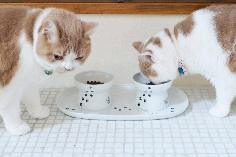 [Australia] - Necoichi Dining Cat Food Tray Double 