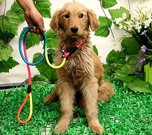 [Australia] - yueton Rainbow Pet Dog Nylon Leash Adjustable Loop Slip Lead Rope 