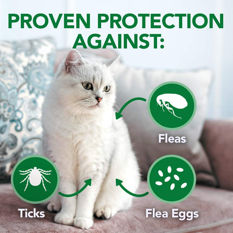 [Australia] - Vet's Best Flea and Tick Waterless Bath Foam for Cats | Flea Treatment Dry Shampoo for Cats | Flea Killer with Certified Natural Oils 5 oz 