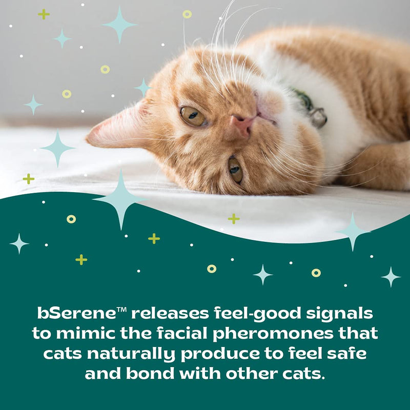 bSerene Pheromone Calming Solution for Cats| Plug-in Diffuser Kit and Refill |Helps Reduce Hiding, Scratching, Stress, Anxiety | for Single/Multicat Homes| 45 Days of Constant Comfort Per Refill - PawsPlanet Australia