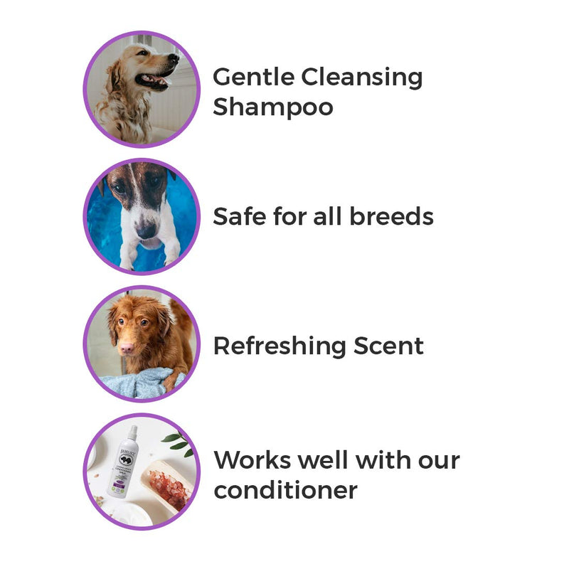 [Australia] - BarkLogic Natural Dog Shampoo with Essential Oils, 16 fl oz | Hypoallergenic, Plant-Based Gentle Formula for Sensitive Skin Lavender 