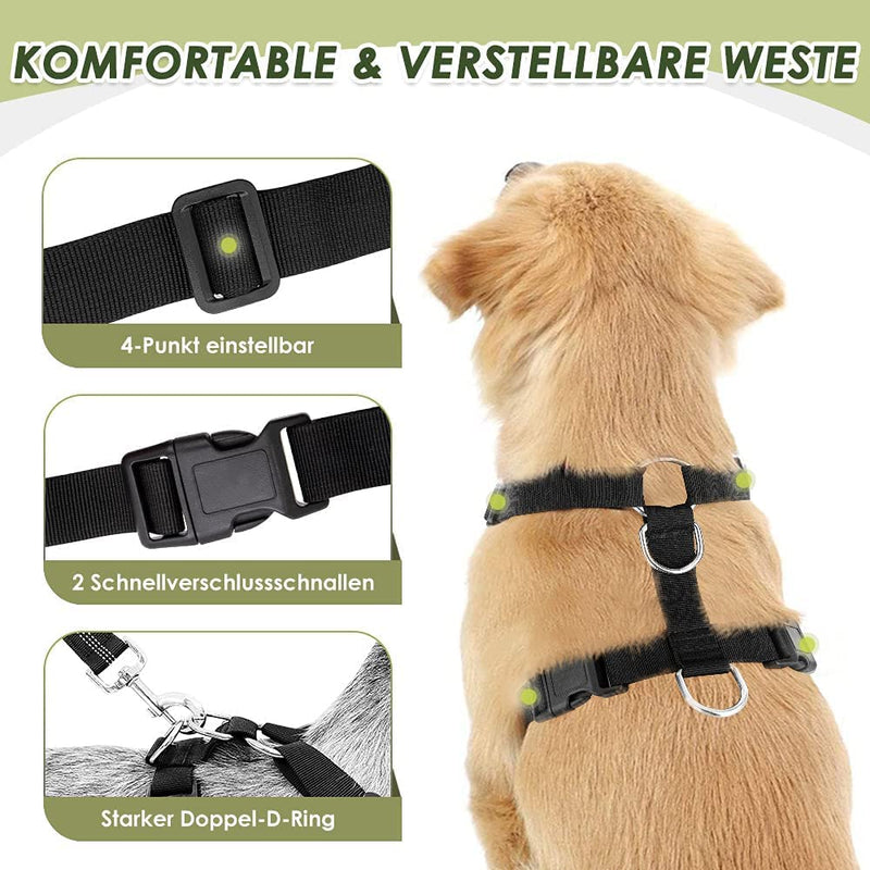 Eyein Dog Harness with Seat Belt for Car, 2 Carabiner Hooks - Connected to Seat Belt Buckle, Child Safety Seat or Trunk, Adjustable Breathable Harness (Black, M) Black - PawsPlanet Australia