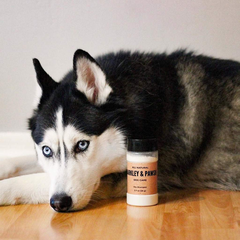 [Australia] - 100% Natural Dog Dry Shampoo for Waterless Cleaning of Coat and Removing Pet Odor | Puppy Safe | 3.7 fl oz, Cruelty and Chemical Free, Made in the USA 