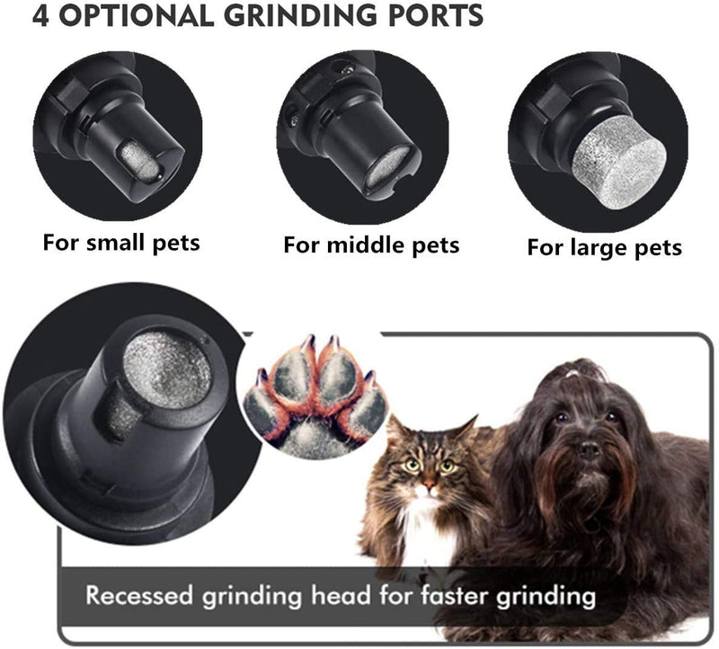 pecute claw grinder for dogs and cats; 50 decibels super quiet, two-speed gearshift with powerful speed, USB port, with 2 grinding heads (black) Black Classic (Large) - PawsPlanet Australia